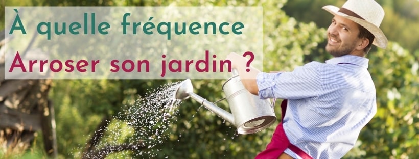 Faut-il arroser son Jardin tous les jours ? | L'Arroseur arros