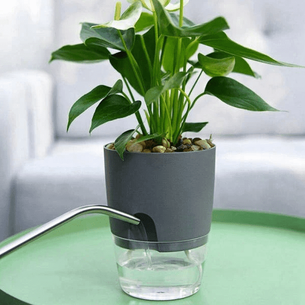 Lot De 12 Arroseurs Automatiques Réglables Pour Bouteilles - Irrigation Goutte-à-Goutte Écologique Pour Plantes D'Intérieur, Potées, Fleurs Et Jardin
