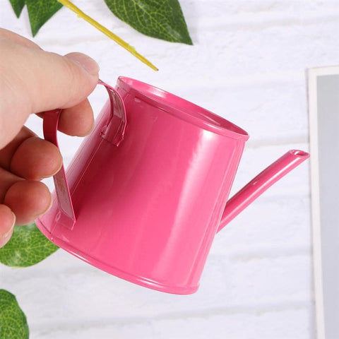 mini arrosoir en metal rose