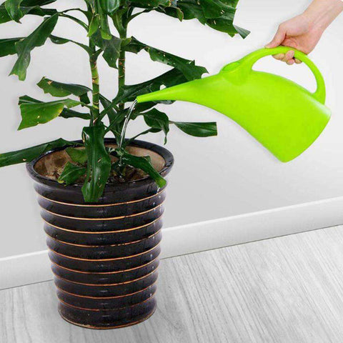 Arrosoir d'intérieur Ergonomique - L'arroseur arrosé