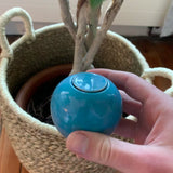 Coffret d'Ollas artisanales