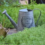 Arrosoir vintage métal galva