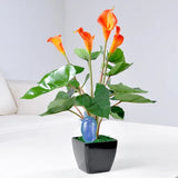 arrosage capillarité fait maison