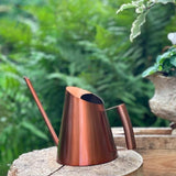 arrosoir design intérieur