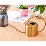 Arrosoir long bec métallique