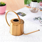 Arrosoir Design doré