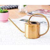 Arrosoir Doré | L'arroseur arrosé