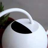 arrosoir en metal blanc