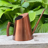 Arrosoir d'intérieur Design : Cuivré