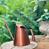 arrosoir intérieur design