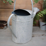 Arrosoir Fleuri <br> en Zinc