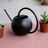 Arrosoir bec fin noir mat