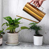 arrosoir pour plante intérieur