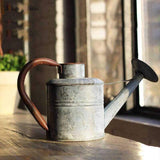 Arrosoir Galvanisé vintage | L'arroseur arrosé