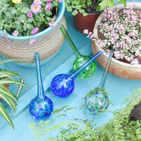 Arrosoir Automatique en Verre