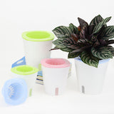 pot arrosage continu