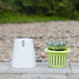 arrosage continu plante en pot