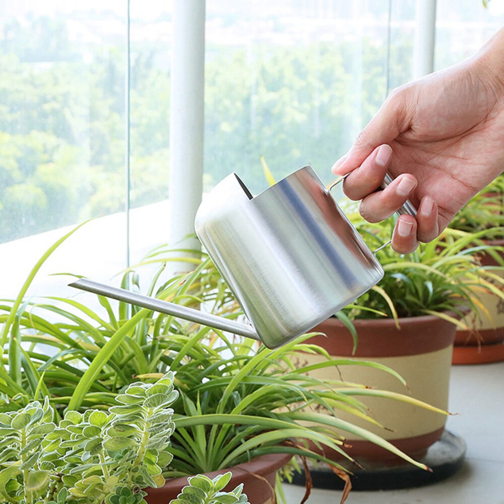 Arrosoir, Pot d'Arrosage Long en Acier Inoxydable pour Plantes d'Intérieur Bonsaï, Or 500ML Arrosoir, Pot d'Arrosage Long en Acier Inoxydable pour Plantes d'Intérieur Bonsaï, Or 500ML