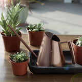 Arrosoir Design metal cuivre