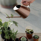 petit arrosoir d'intérieur design