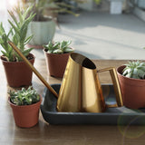 Arrosoir Design doré