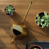 arrosoir intérieur doré