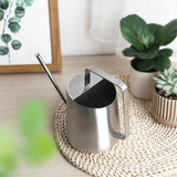 arrosoir d'intérieur metal inox