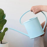 arrosage plante d'intérieur