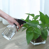 vaporisateur plante 500ml