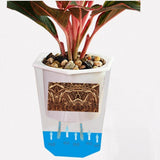 pot arrosage plante d'intérieur