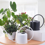 Arrosoir metal blanc