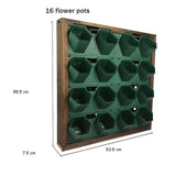 plantes Murales hydroponie