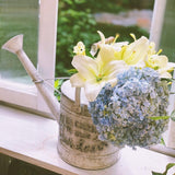 arrosoir ancien déco