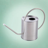 arrosoir plante d'intérieur en inox