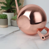 Arrosoir Inox 1 Litre