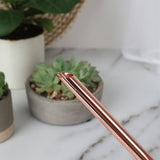 Arrosoir Inox 1 Litre