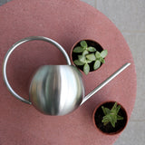 arrosoir intérieur acier