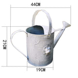 Arrosoir en zinc déco