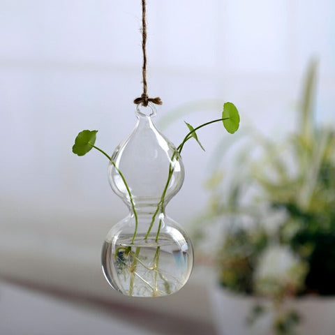 vase hydroponique