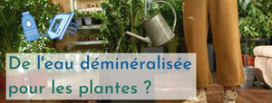 Arroser ses plantes avec de l’eau déminéralisée ?