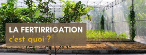 définition fertirrigation