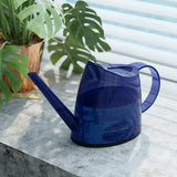 Arrosoir Transparent bleu