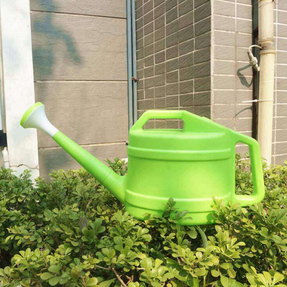 BONSAI DE GARDENIA JASMINOIDES TA-2G