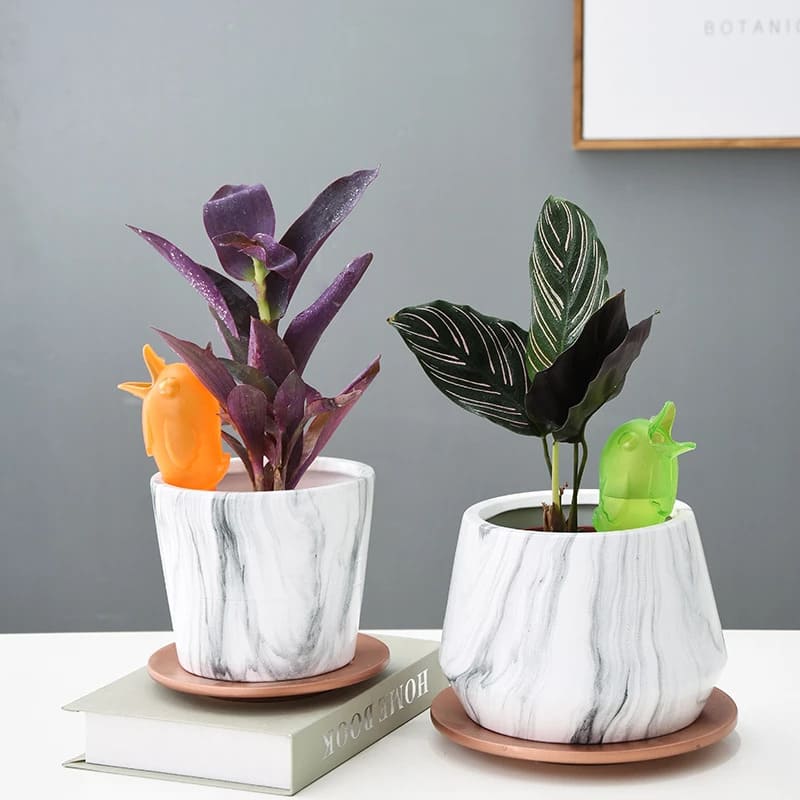 Arrosage par Capillarité | L'Arroseur arrosé