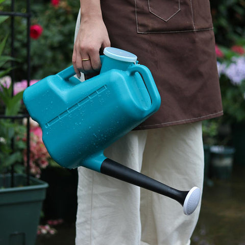 Arrosoir Métallique Galvanisé 5 Litres Avec Bec Long Et Buse D'arrosage - Pour Intérieur Et Extérieur - Design élégant Et Durable - 11