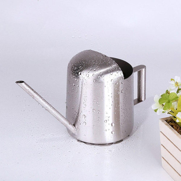 APOMOONS Petit Arrosoir Plante Intérieur 1L - Bec Long Acier Inoxydable, Échelle Graduée Et 12 Étiquettes