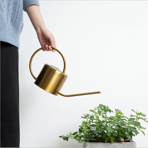 Arrosoir En Acier Inoxydable 300-500 Ml Pour Plantes D'Intérieur Arrosoir En Acier Inoxydable 300-500 Ml Pour Plantes D'Intérieur