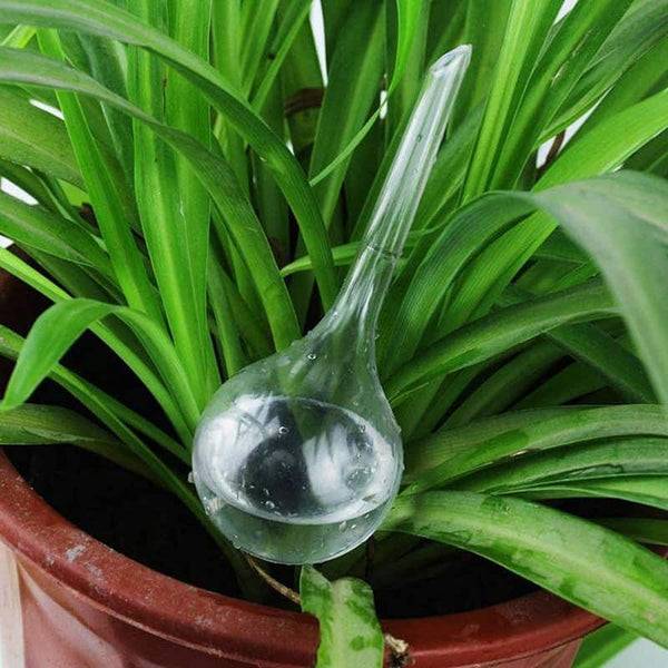 Lot De 6 Globes D'Arrosage Automatique Pour Plantes, Kits D'Irrigation