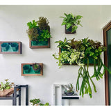 mur végétal intérieur appartement