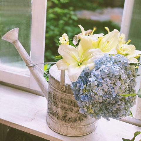 Arrosoir Français Fer Galvanisé 6.5L Bleu Clair - Tête Rose Amovible, Bec Long - Léger (0.8 Kg), Durable, écologique - 6